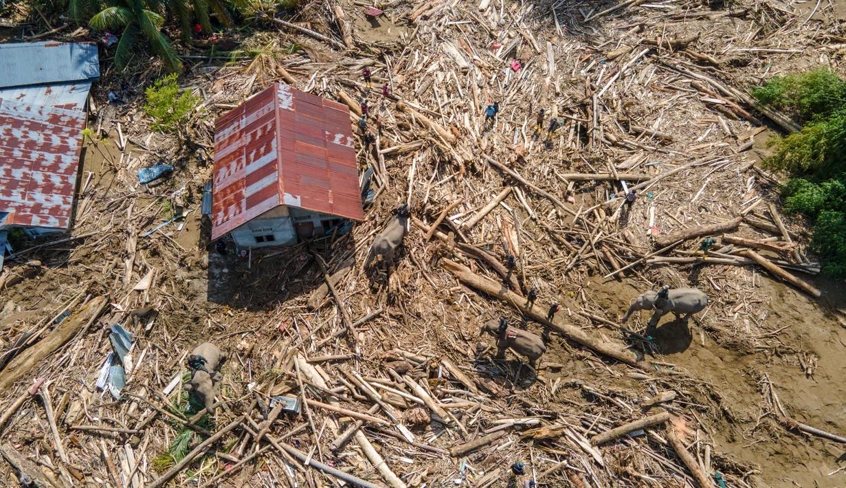 Lumpur tebal masih menutupi banyak pemukiman warga dan mengganggu upaya pembersihan. Tampak foto menunjukkan pandangan udara gajah Sumatra yang membantu membersihkan puing-puing pohon setelah banjir bandang di Meureudu, Kabupaten Pidie Jaya, Provinsi Aceh pada Senin 8 Desember 2025. (CHAIDEER MAHYUDDIN/AFP)