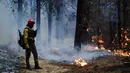 Operasi pemadaman didukung oleh helikopter dan enam pesawat pengebom air (hydrant planes) untuk melakukan serangan udara di area yang sulit dijangkau. Tampak dalam foto, seorang petugas pemadam kebakaran berdiri di antara pepohonan yang terbakar selama kebakaran hutan di Epuyen, Patagonia, Argentina, Minggu 11 Januari 2026. (AP Photo/Nicolas Palacios)