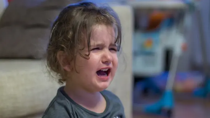 Photo: Copyright Thinkstockphotos.com