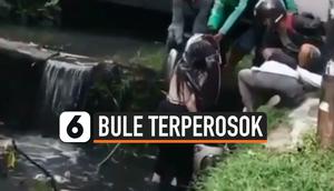 BULE TERPEROSOK