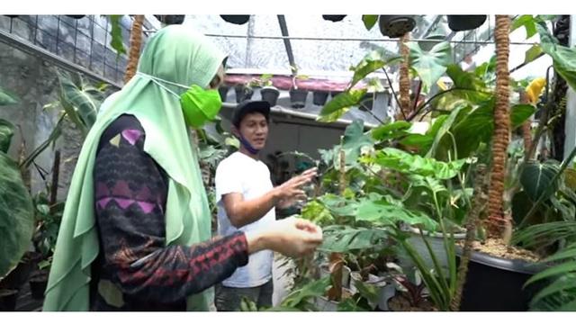 7 Momen Kartika Putri Berburu Janda Bolong Kaget Harganya  