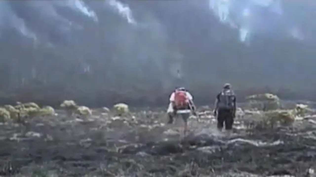 Kebakaran di Papandayan Hanguskan Puluhan Hektare Edelweis