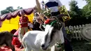 Seekor kambing bernama Demyte, menjadi pemenang kontes kecantikan kambing di Ramygala, Lithuania, Minggu (26/6). Kambing-kambing milik warga didandani secantik mungkin dengan aneka hiasan dan pakaian khas Lithuania. (REUTERS/Ints Kalnins)