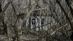 Sebuah rumah terlihat di desa Zalesye yang sudah tidak lagi ditempati oleh pemilikinya di kota Pripyat, dekat pembangkit tenaga nuklir, Ukraina, 28 Maret 2016. (REUTERS/Gleb Garanich)