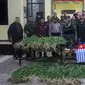 Yonif Raider 756/WMS menyerahkan pelaku pengedar ganja dan barang bukti ke Kapolres Jayawijaya AKBP Yan Reba (3/8). Mereka berhasil mengamankan Sajam, atribut/bendera Bintang Kejora, Miras dan 95, 20 gram ganja kering siap edar. (Liputan6.com/HO/Dispenad)