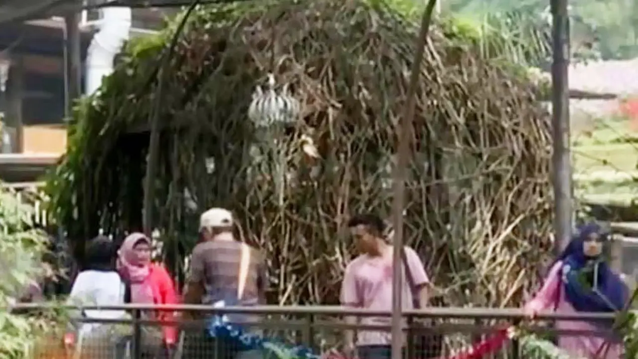 VIDEO: Restoran Unik dari Sarang Burung