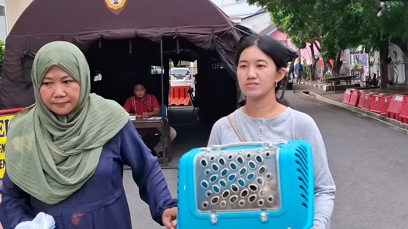 Komunitas Cat Lovers in The World (Clow) Solo menemukan fakta miris di rumah penitipan hewan