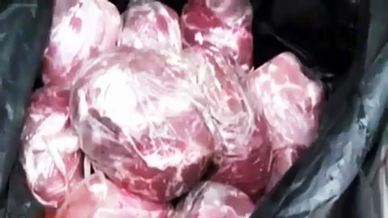 VIDEO: Polisi Sita 4 Ton Daging Babi Ilegal Siap Edar