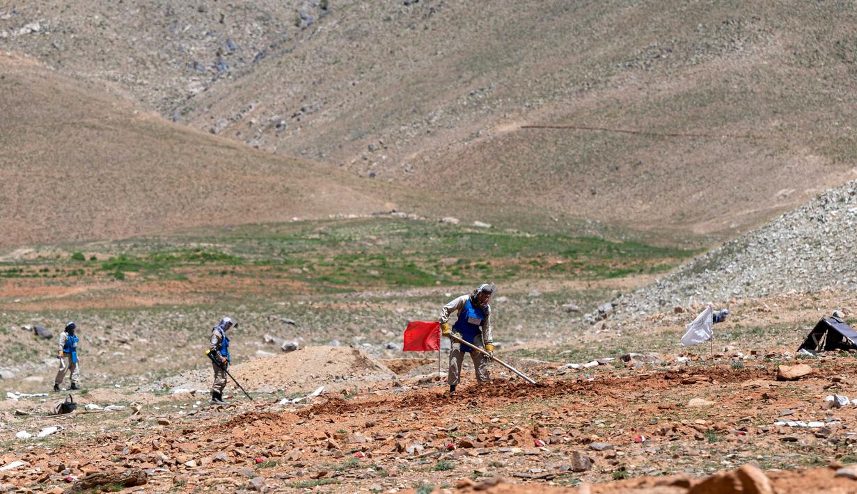 Foto yang diambil pada tanggal 13 Mei 2024 memperlihatkan para penjinak ranjau Afghanistan dari Halo Trust membersihkan ranjau anti-tank di desa Qala Khail, provinsi Ghazni. (Wakil KOHSAR/AFP)