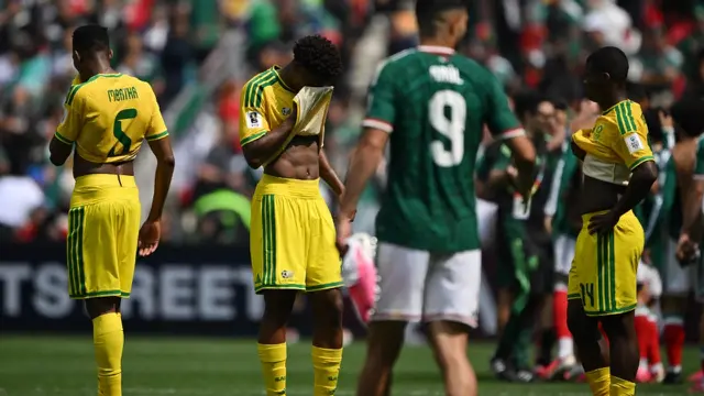 Timnas Afrika Selatan
