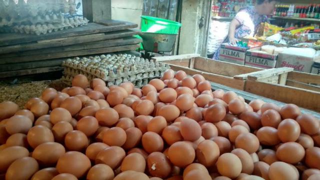 Harga Telur Ayam Masih Tinggi di Pasar Rumput - Bisnis Liputan6.com