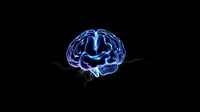 Sebagian Pasien Epilepsi Alami Pengurangan Frekuensi Kejang Saat Jalankan Puasa Ramadan