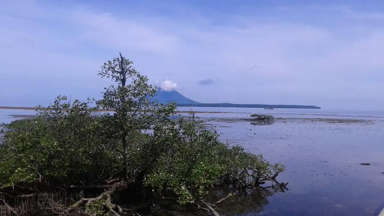 Bunaken