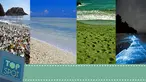(Liputan6.com)