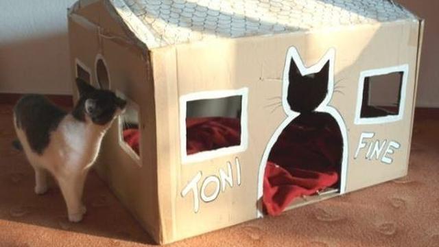 7 Potret Kandang Low Budget Ini Bikin Ngakak