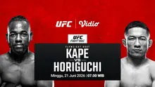 Jadwal UFC Fight Night di Vidio. (doc. vidio)