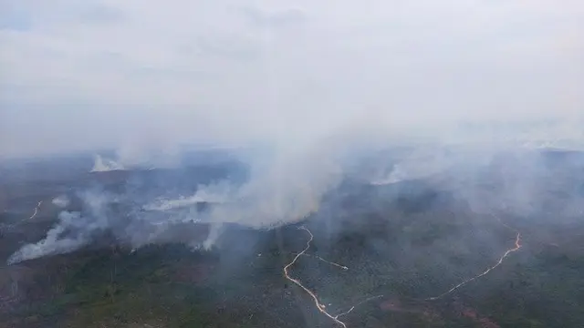Kebakaran lahan yang mengepulkan asap dipantau dari udara.