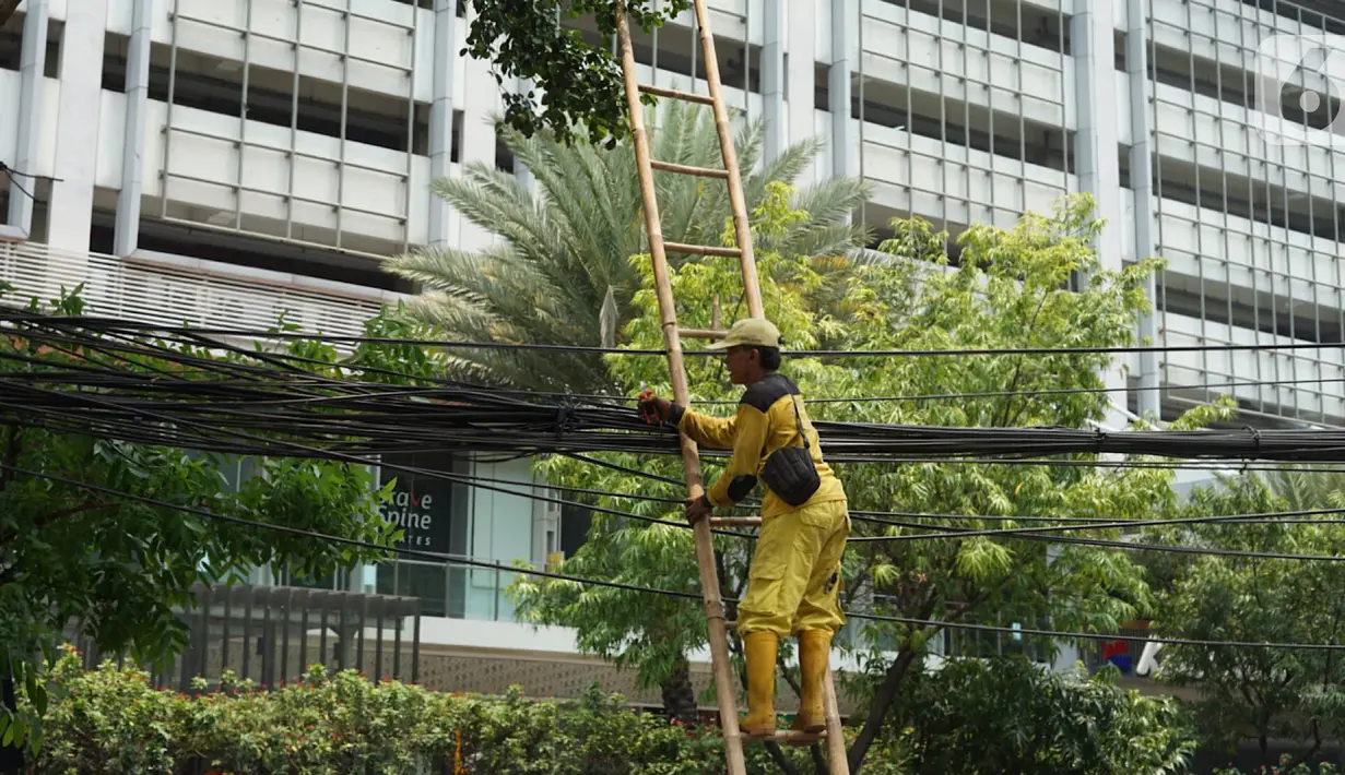 Petugas Bina Marga merapikan kabel optik yang baru saja dipotong di sepanjang jalan kawasan Kemang, Jakarta, Kamis (24/10/2019). Pemotongan kabel optik tersebut untuk menertibkan instalasi kabel yang semrawut serta mengganggu ketertiban umum di kawasan Kemang. (Liputan6.com/Immanuel Antonius)