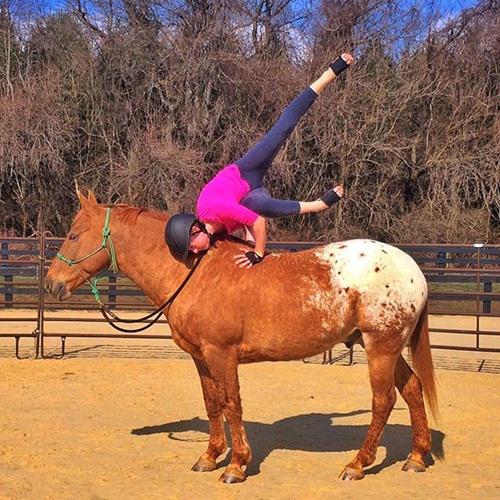copyright by instagram.com/horse_yoga_girl