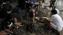 Pekerja membersihkan kerang hijau di kawasan Muara Angke, Jakarta, Rabu (23/1). Pencemaran limbah di laut ditambah cuaca buruk mengakibatkan hasil tangkapan nelayan kerang Muara Angke menurun drastis hingga 80 persen. (Merdeka.com/Iqbal S. Nugroho)