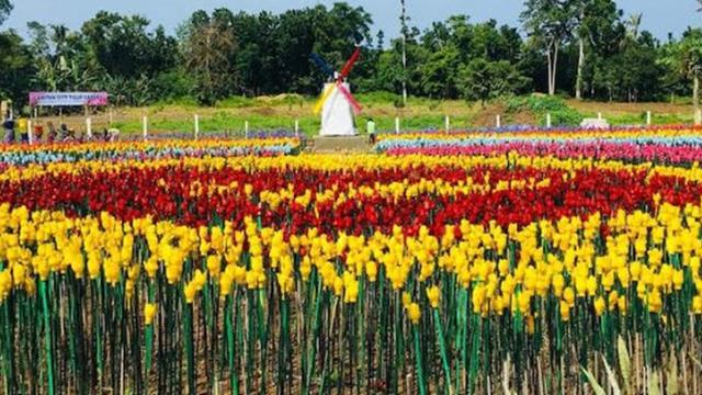 Unik, Kota Ini Ubah Sampah Plastik Jadi Taman Bunga Indah