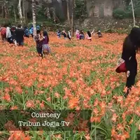 Putri Bungsu di Hujat Netizen Setelah Selfie di Taman Bunga.