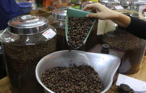 Pekerja menyortir biji kopi di sebuah gerai kopi di Jakarta, Jumat (19/11/2021). Data Gabungan Eksportir Kopi Indonesia mencatat ekspor kopi secara Nasional sepanjang Januari-Juli 2021 mencapai 294.243 ton atau naik 2,63% dibandingkan dengan periode yang sama tahun lalu. (Liputan6.com/Angga Yuniar)