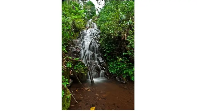 Air Terjun Sanggar Jombang
