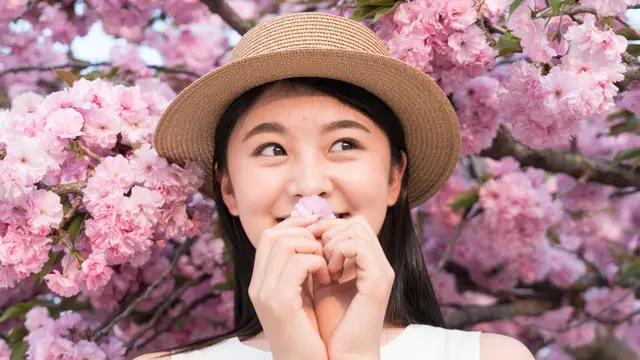 imut bahagia bunga sakura