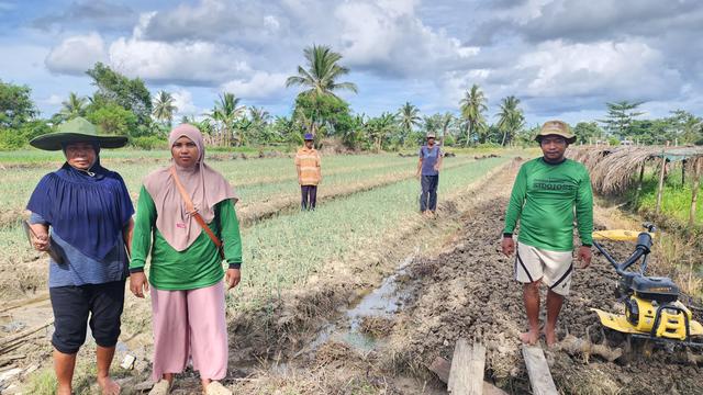 Program Pemberdayaan Klaster Usaha dari BRI Dorong Produktivitas Para Petani di Merauke