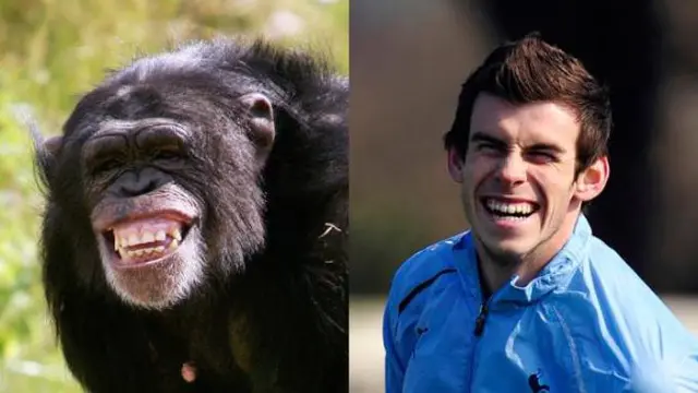 Gareth Bale