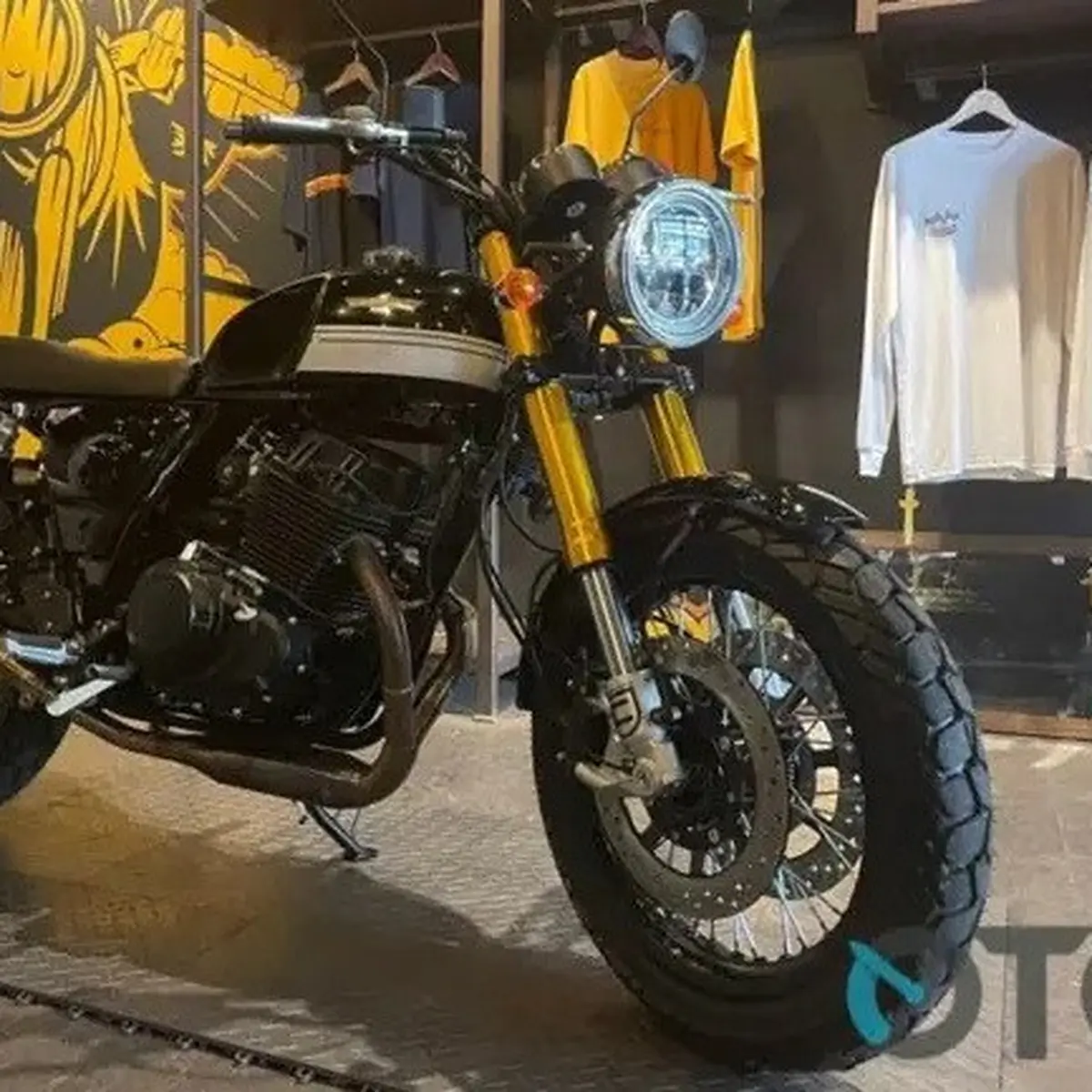 Ace scrambler 250 store