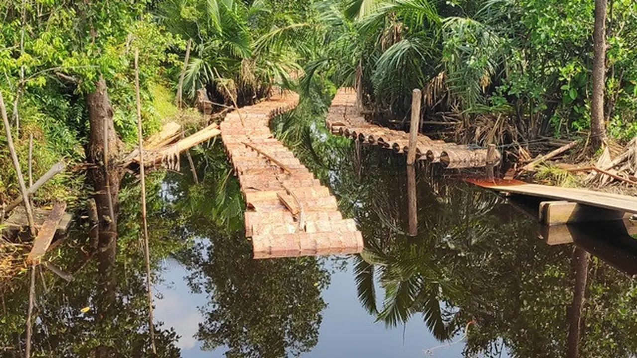 Tual Sagu yang menjadi sumber kehidupan masyarakat Sungai Tohor, Kepulauan Meranti.