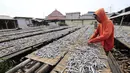 Pekerja menjemur ikan asin di Jakarta, Minggu (6/2/2022). Pengusaha ikan asin di daerah tersebut mengaku mengurangi produksinya karena permintaan pasar sedang turun dan terkendala proses pengeringan akibat curah hujan. (Liputan6.com/Angga Yuniar)