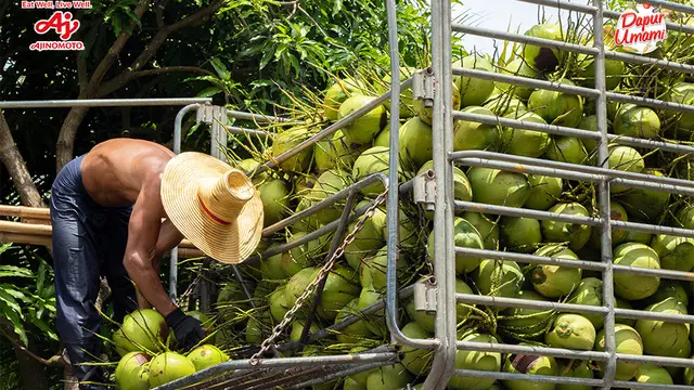 Menyusuri Jejak Makanan, Berawal dari Ladang dan Berakhir di Tempat Sampah