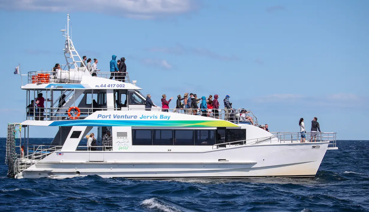 Para wisatawan naik kapal pesiar untuk melihat paus di Teluk Jervis, Sydney selatan, Australia, pada 23 September 2020. (Xinhua/Bai Xuefei)