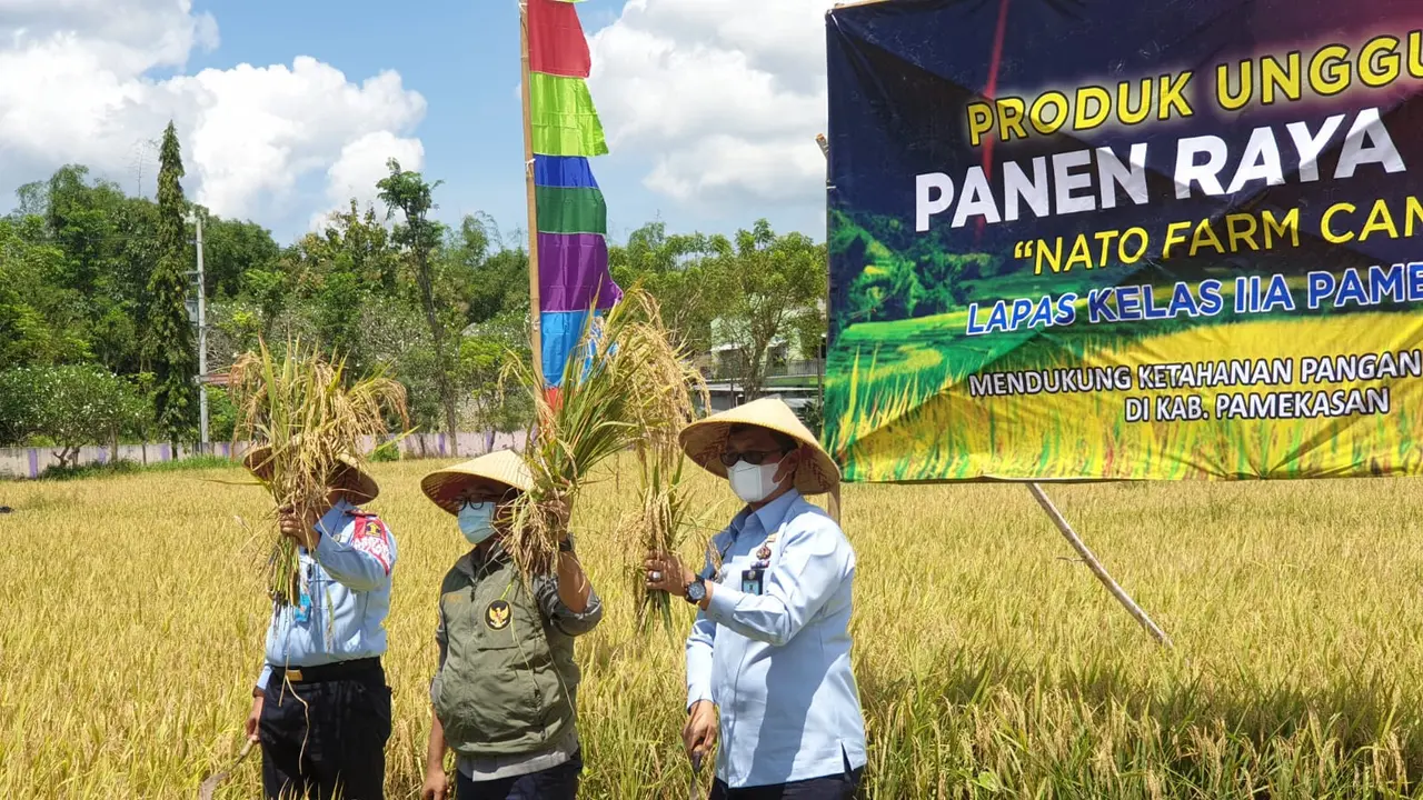 Panen padi hasil warga binaan Lapas Pamekasan. (Dian Kurniawan/Liputan6.com)