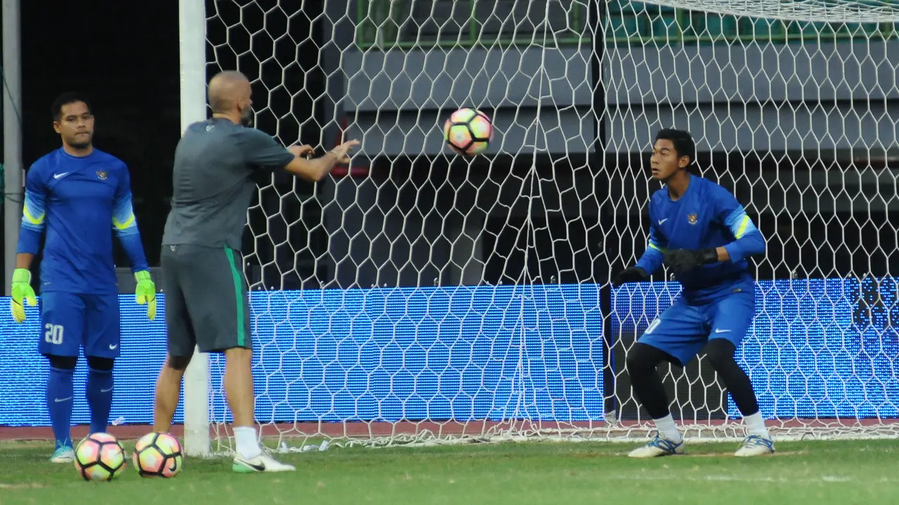 Satria Tama, timnas Indonesia