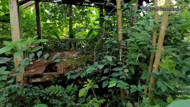 Rumah Ahmad Dhani Terbengkalai
