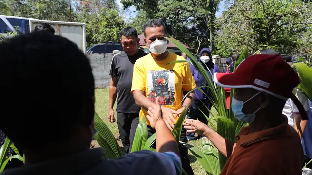 Pemberian bibit