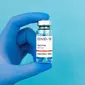 Vaksin COVID-19 Inavac dan Indovac ditargetkan untuk mengantongi izin darurat penggunaan dari BPOM pada bulan September 2022. (pexels.com/Maksim Goncharenok).