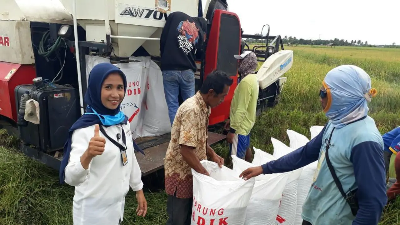 Di Tengah Pandemi Covid-19, Petani Sulawesi Tengah Berhasil Surplus Beras