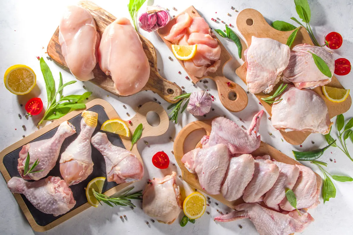 paha ayam