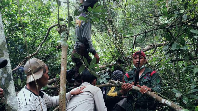Buru Harimau 2 Bulan, Petugas Hanya Bisa Menatap Saat Berpapasan
