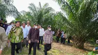 Menteri Koperasi dan UKM (MenKopUKM) Teten Masduki mengajak para petani sawit bergabung ke dalam koperasi sawit. Dok Kemenkop UKM