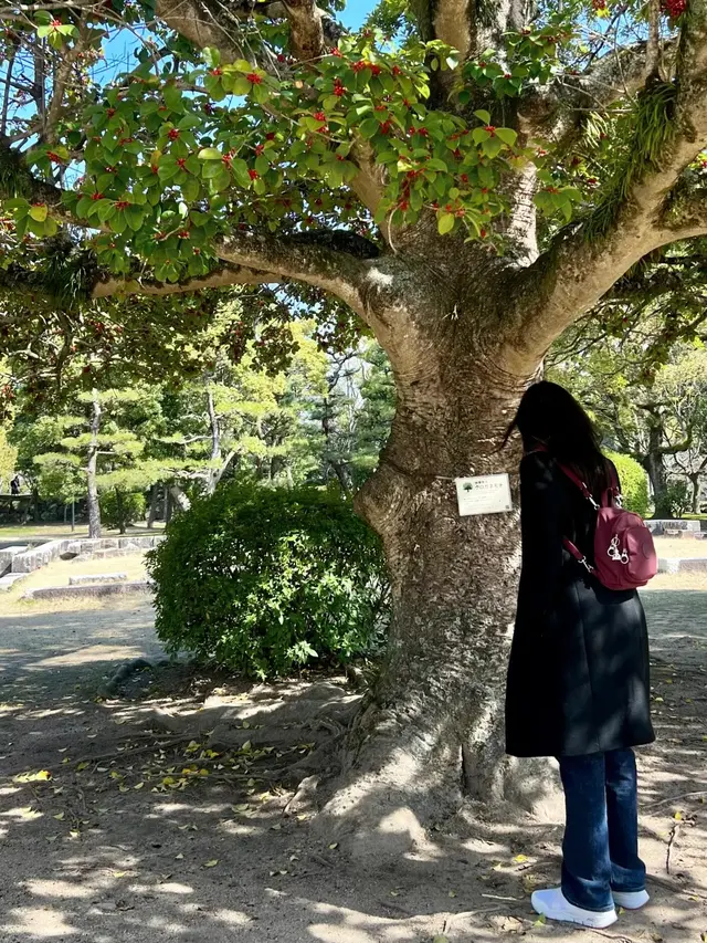 Masih di Jepang, Ini 7 Momen Yuki Kato dan Keluarga Kunjungi Hiroshima Castle
