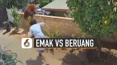 Aksi heroik ditunjukkan oleh seorang emak-emak ini ketika melindungi anjignya dari serangan beruang besar.