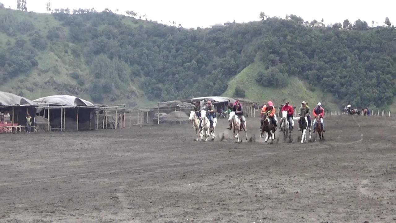 Balapan kuda di Lautan Pasir Gunung Bromo (Dian Kurniawan/Liputan6.com)
