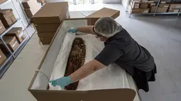 Ahli antropologi Chile, Veronica Silva menunjukkan salah satu mumi tertua di National Museum of Natural History di Santiago, Chile (16/12). Para peneliti Chile tengah meminta status mumi kuno ini kepada UNESCO. (AFP PHOTO/Martin Bernetti)
