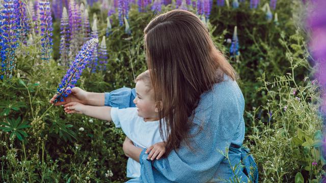 impian ibu rumah tangga